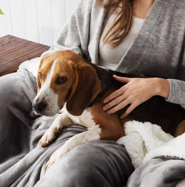 Dog Heaven™ Waterproof Dog Blanket